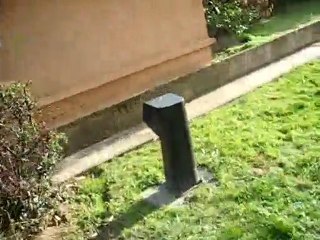 yamakasi 1 boss, 1 tapette ...