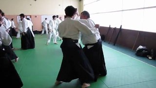 Aikido 79 Didier Pénissard Freddy Blonski