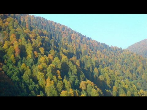 süleyman albaydan manzaralar-2- kavrun.tr.gg