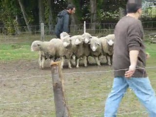 ABAUST Stage du 28/02/2010 - Xavier et Enaya