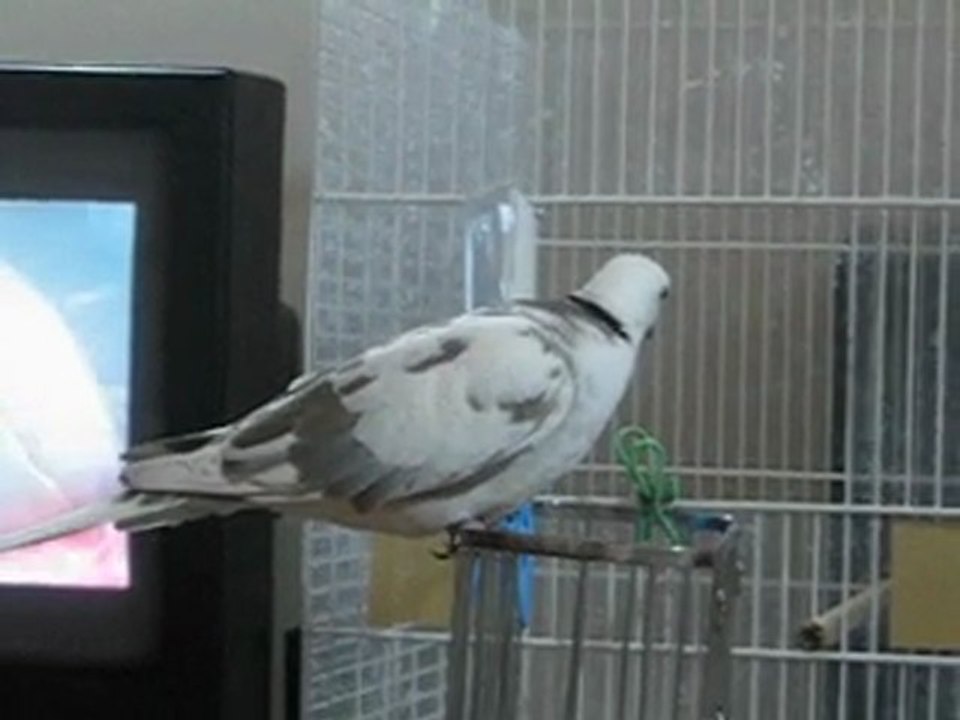 boire un petit coup !...