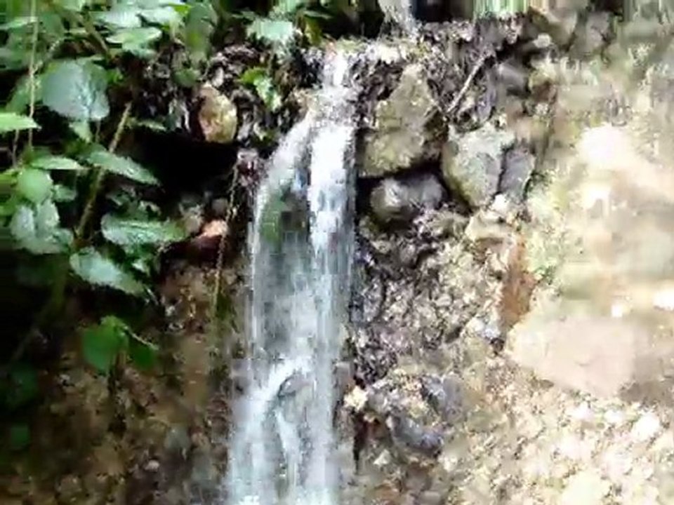 sular