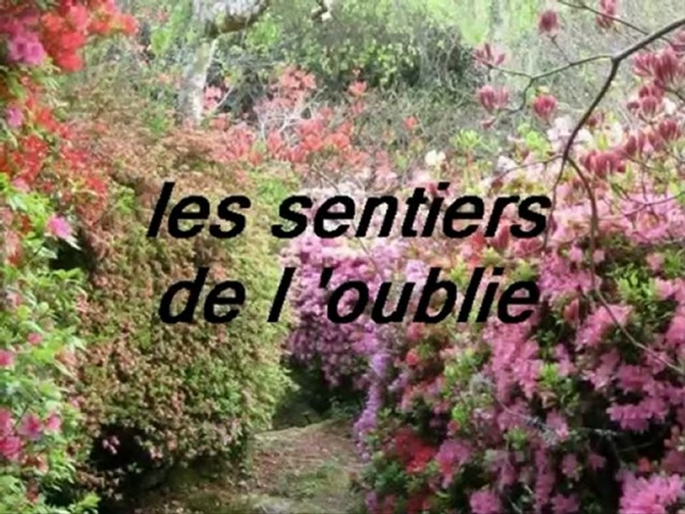 LES SENTIERS DE L' OUBLI....