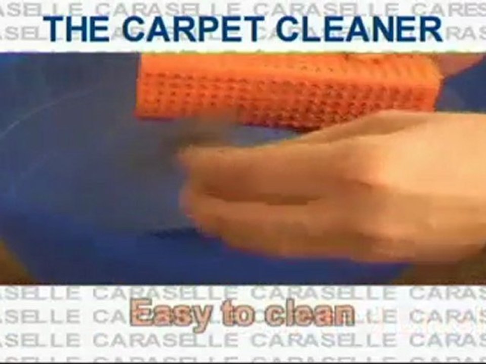The Carpet Cleaner