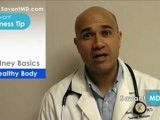 SavantMD: Kidney Basics ~ Health and Wellness Tips