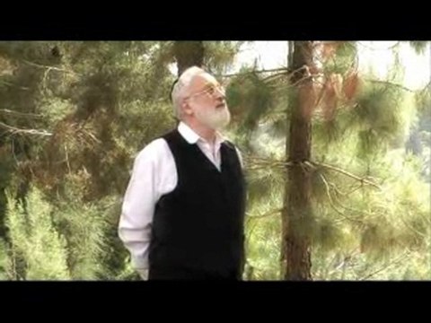 Хлеб (Шаги по пути истины)