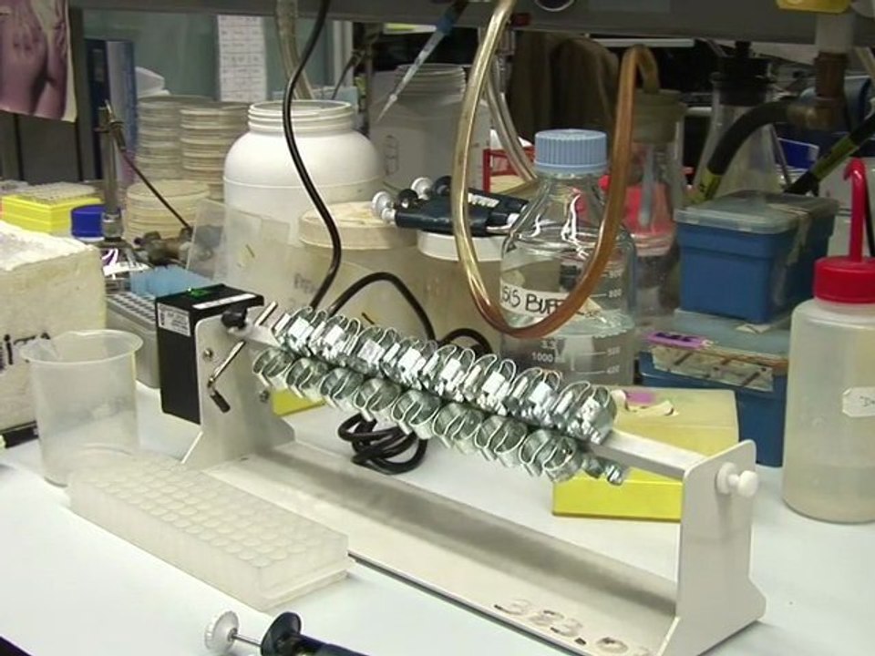 Nuevos caminos para el tratamiento de la soriasis