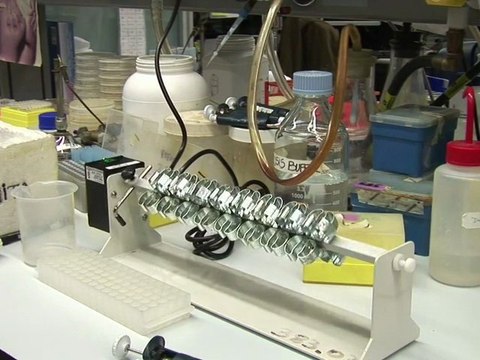 Nuevos caminos para el tratamiento de la soriasis