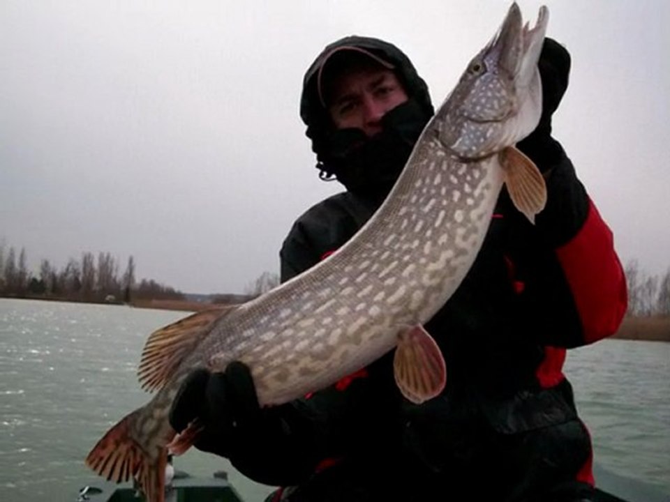 Pêche aux brochet au Domaine de Rumilly (Aube)
