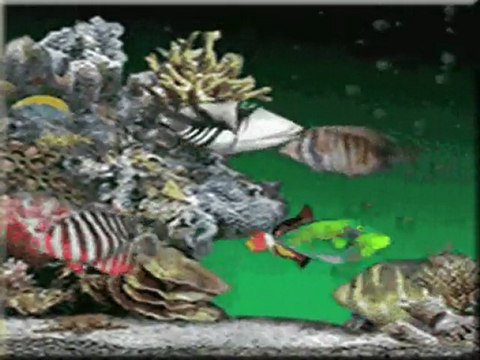 benim benden haberim yok