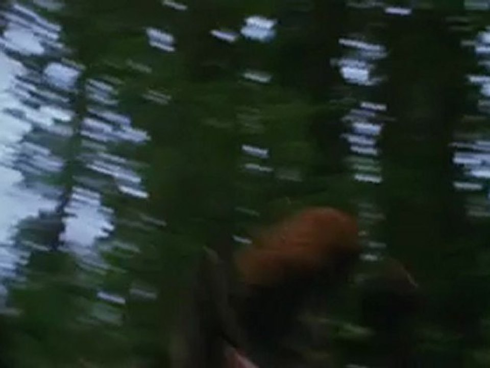 Eclipse. The Official Full Version Trailer. NEW!!
