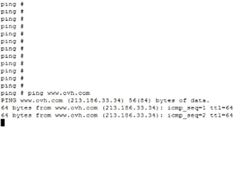 Lilouvoice Productions OVH BFM GEEK PING In 20100126 A01