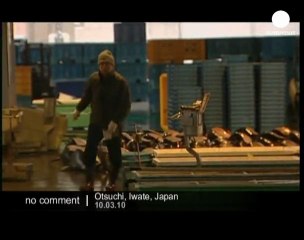 Les marsouins, cibles des pêcheurs japonais