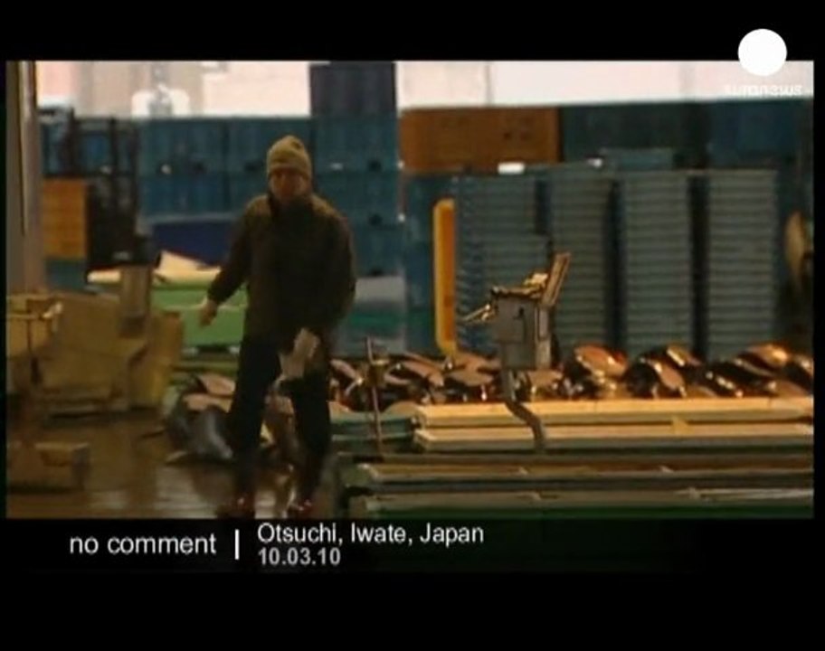 Les marsouins, cibles des pêcheurs japonais