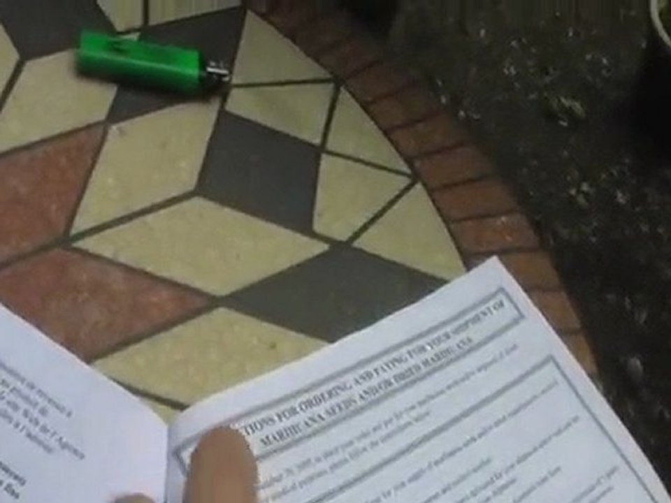 UG 44 The Government Weed Dealer