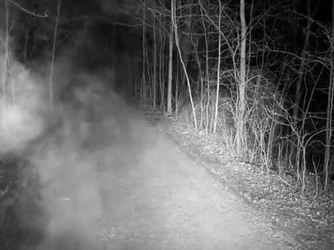 Les Breastfeeders: Viens avec moi