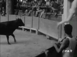 video ancinne de cource