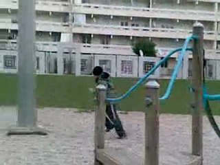 assins creed-les trois cons-