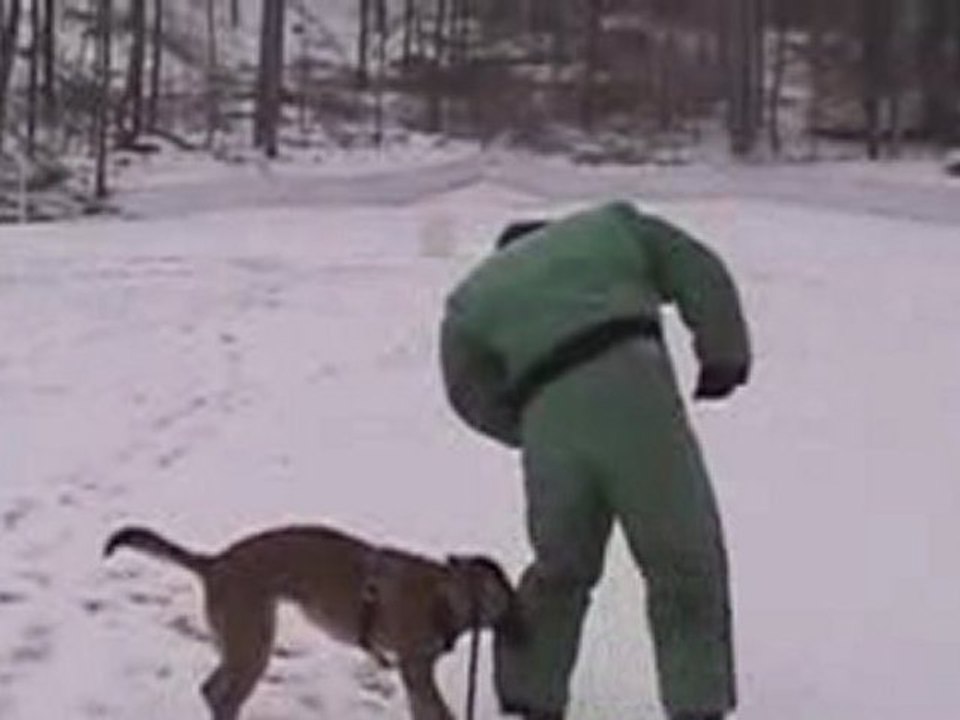 ARF Josh Wood Do I Wanna YUP