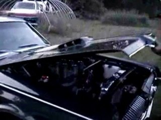 Cougar Man - Mon Adolescence...