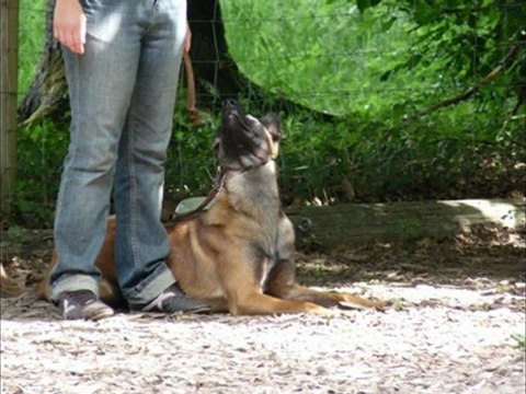 Dunkhan entrainement obé RCI