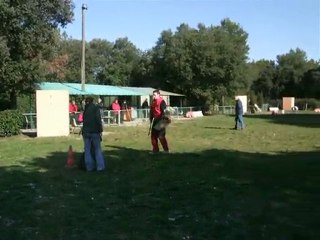 Desgayls APE Test de caractère du 1er degré chien Boxer