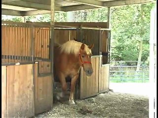 Aaron Explains Everything... on the Farm