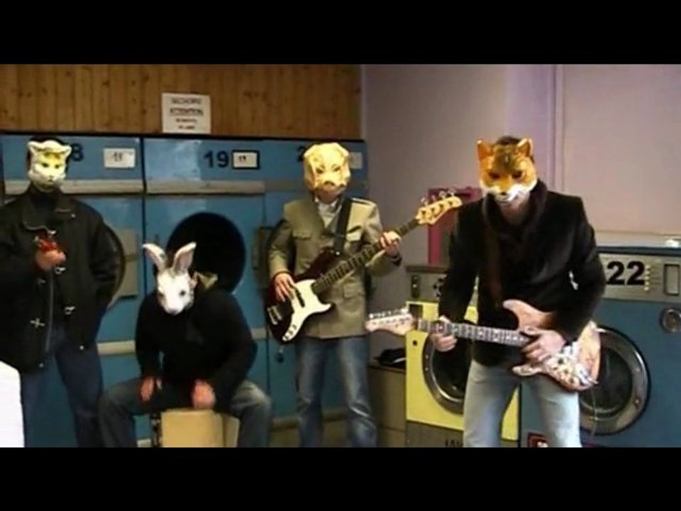 Dogme en concerts insolites - les vautours dans une laverie