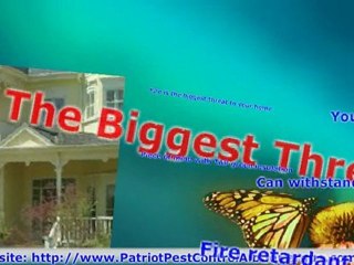 Green Insulation | Save Money on Pest Insulation