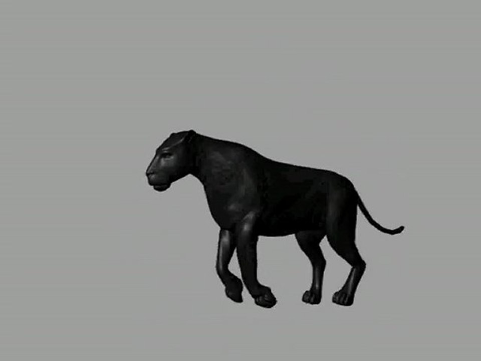 morph homme_panthère
