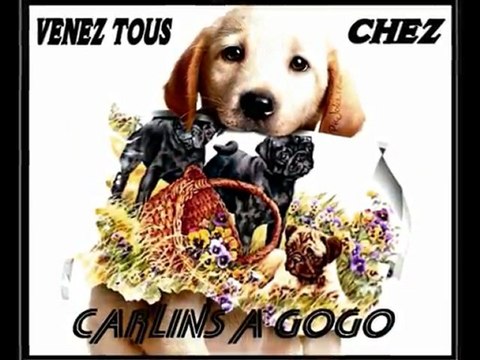 balade du 11 mars 2010