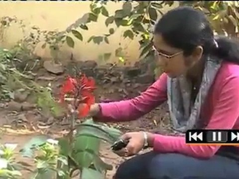 Seli Bal, WAVE videoblogger from Orissa