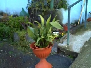 Esterno prospiscente l'ingresso alla Chiesa di Casa Serena