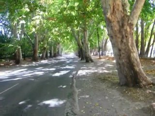 SCHOENSTATT - FEDERACIÓN DE FAMILIAS - CURSO XIII