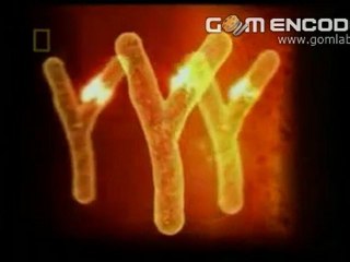 Name spelling changes long