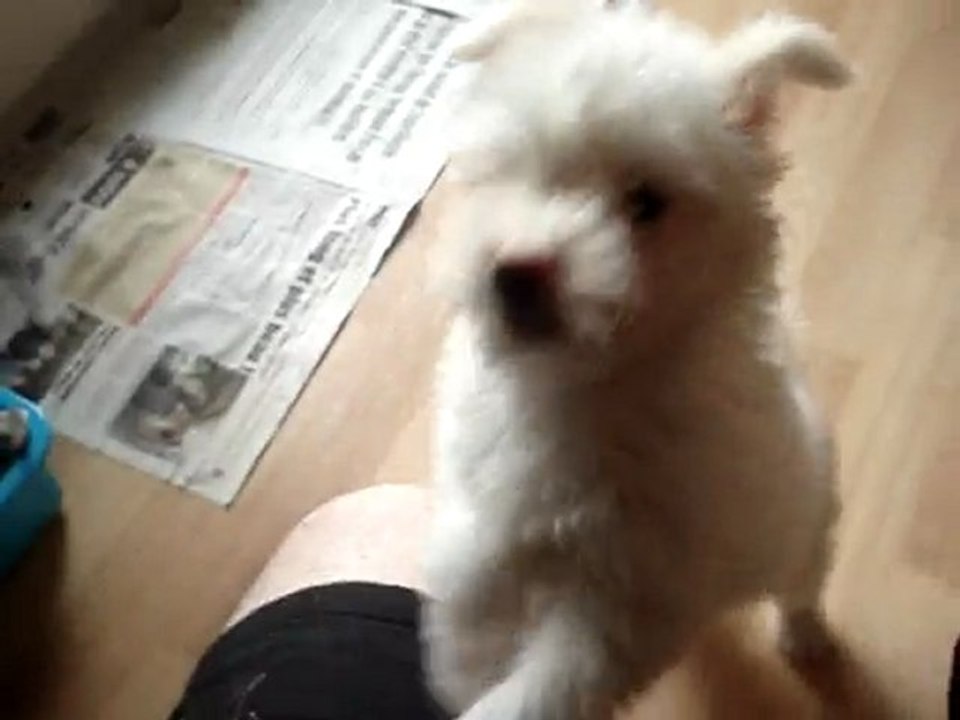 Bella une chienne qui rote !!!!