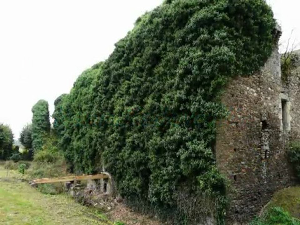 les mariées de vendée