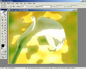 belleği boşaltmak ders1