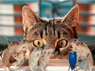 ТАНЦА НА МИШКИТЕ