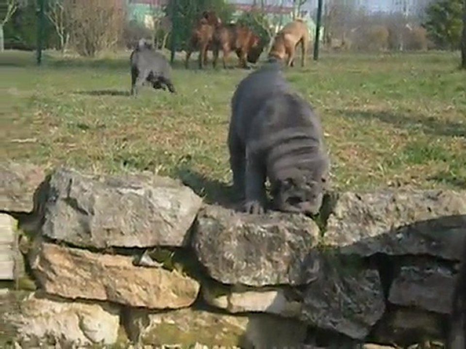 Après-midi ensoleillé