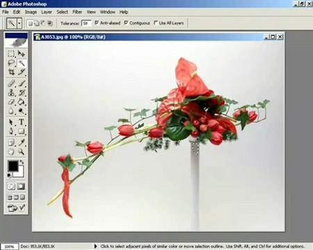 ders 2 aynı rengin kullanıldıgı alanı seçmek