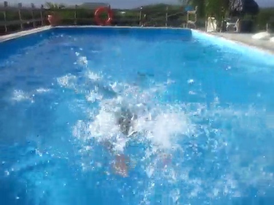 jimbani 21