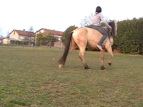 Kitsuneïro , 2 ans & Demi , monte en Cordelette :)