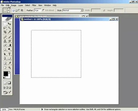 ders 3 bir seçim alanına başka bir resim yerleştirmek