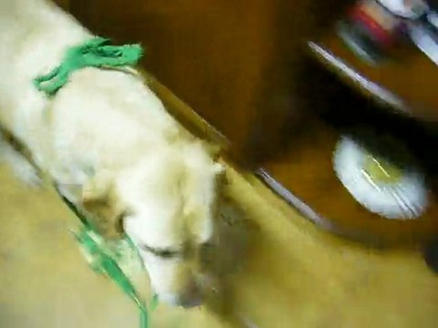 agathe et ses chaussons favoris 2eme partie