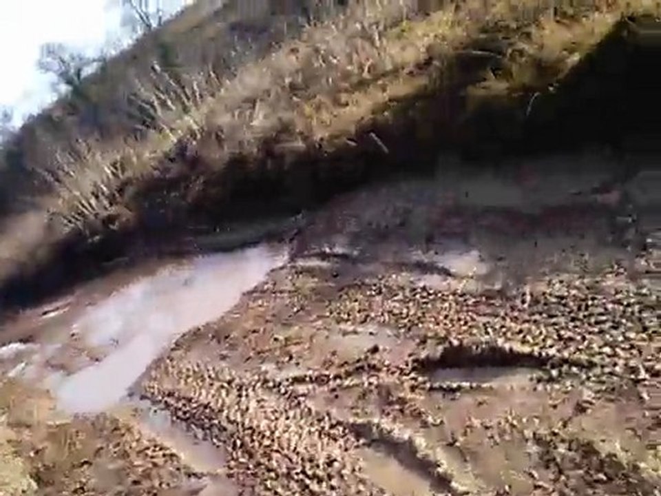 quad neuf 44 a joué sur erdre