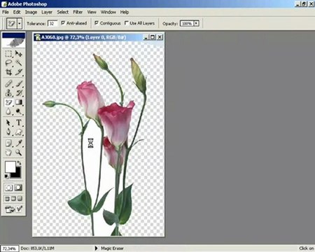 ders 3 magic eraser aracını kullanmak