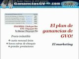 4-GVO - Plan de Ganancias GVO