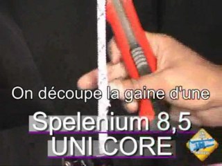 Process UNI CORE BEAL Spelenium