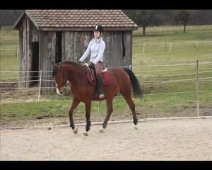 Un peu de l'hiver 2010...